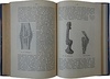 Рейн Ф.А. Краткое руководство по общей хирургии (Антикварная книга 1915г.)