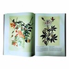 Книга "Птицы Америки" в суперобложке
