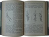 Семеновский В.Л. Альпинизм (Издание 1936г.)