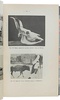 Богданов Е.А. Конволют. Происхождение домашних животных 1913 г. 2. Менделизм или теория скрещивания 1914 г. (Антикварная книга 1913-1914 гг.)