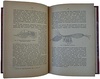 Мечников И. И. Этюды оптимизма (Антикварная книга 1913г.)
