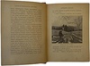 Немирович-Данченко В.И. Скромные подвиги (Антикварная книга 1890г.)