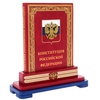 Конституция Российской Федерации и основные федеральные конституционные законы (VIP издание)