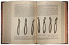 Руководство практической хирургии (Антикварное издание 1901-1903 гг. в 4-х томах, 6 частях)