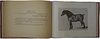Бельгийский тяжеловоз. Монография Гендрика де Тельгоэ (Антикварная книга о тяжелых бельгийских лошадях  1914г.)