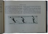 Ростовцев Д.Е. Лыжный спорт. Наглядное учебное пособие по слалому и скоростному спуску (Издание 1954г.)