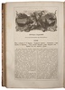 Полевой П.Н. История русской литературы в очерках и биографиях (Антикварная книга 1878г.)