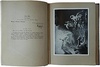 Юсуповская галерея. Антикварная подарочная книга 1924 г.