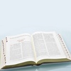 Подарочная книга Библия в коробе-шкатулке, в кожаном переплете ручной работы