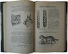 Определитель охотничьих и промысловых зверей нашей фауны (Антикварная книга 1928 г. с автографом автора)