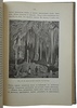 Васильковский П.Е. Диковинки земли. Популярные очерки из жизни нашей планеты (Антикварная книга 1913г.)