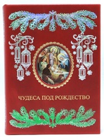 Чудеса под Рождество (эксклюзивное подарочное издание)