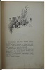 Каразин Н.Н. С севера на юг. Путевые воспоминания старого журавля (Антикварная книга 1890г.)
