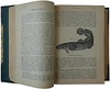 Сабанеев Л.П. Рыбы России. Жизнь и ловля (ужение) наших пресноводных рыб (Антикварное издание 1911г.)
