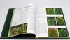 Хвойные растения. Большая энциклопедия, подарочное издание