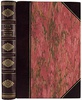 Тун А. История революционного движения в России (Антикварная книга 1906г.)