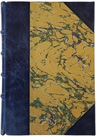 Антикварная книга Вересаев В.В. Записки врача (1902 года)