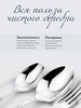Набор чайной ложки "Единство" (Серебро 925)