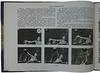 Поджукевич В.П., Ваньков А.А. Водное поло. Наглядное учебное пособие по технике игры (Издание 1954г.)