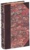 Мезиер А.В. Русская словесность с XI по XIX столетия включительно (Антикварная книга 1899г.)
