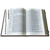 Библия с комментариями, филигранью (золото), гранатами