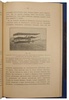 Форрейтер А. Аэропланы (Антикварная книга 1910г.)