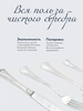Набор столовый "Фаворит": вилка, ложка, чайная ложка (Серебро 925)