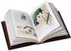Подарочная книга "«Легенды и мифы Древней Японии» в коже
