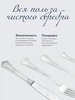 Набор десертный "Фаворит": ложка и чайная ложка (Серебро 925)