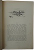 Каразин Н.Н. С севера на юг. Путевые воспоминания старого журавля (Антикварная книга 1890г.)