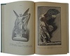 Петискус А.Г. Олимп. Мифология греков и римлян (Антикварная книга 1913г.)