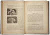 Врач Залесова Е.Н. Учебник массажа и шведской врачебной гимнастики (Антикварная книга 1907г.)