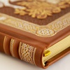 Слово о полку Игореве, Игоря сына Святославова, внука Олегова