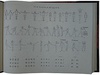 Колтановский А.П. Художественная гимнастика. Наглядное учебное пособие по классификационной программе (Издание 1950г.)