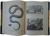 Баде Э. Террариум, его устройство и содержание (Антикварная книга 1911г.)