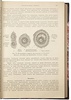 Руководство по гинекологии: для врачей и учащихся (Антикварная книга 1915г.)