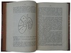 Мельгунов П.П. Очерки по истории русской торговли IX-XVIII вв. (Антикварная книга 1905г.)