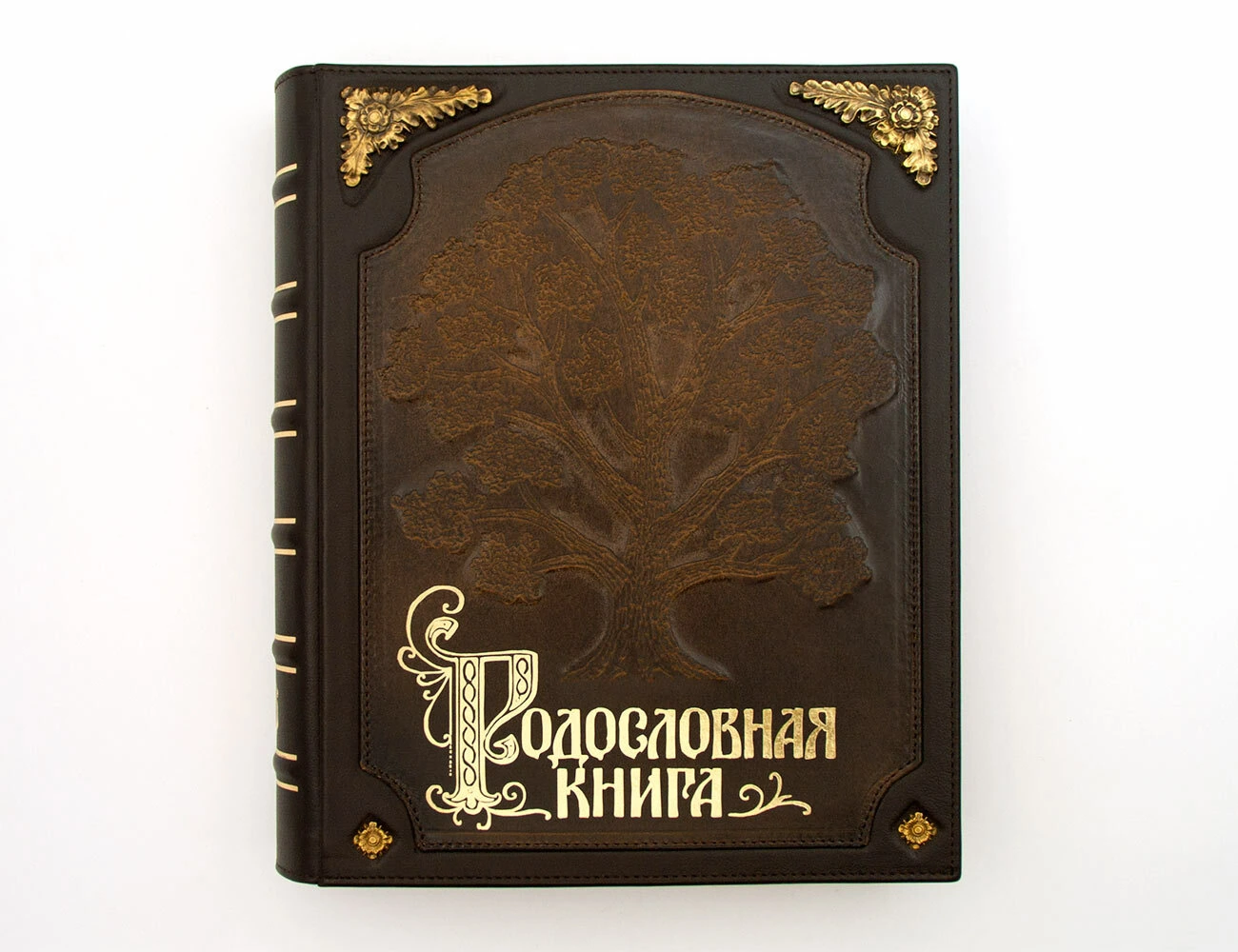 Родословная книга «Стандартная» с бронзовыми накладками