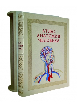 Подарочная книга "Атлас анатомии человека" в кожаном переплёте