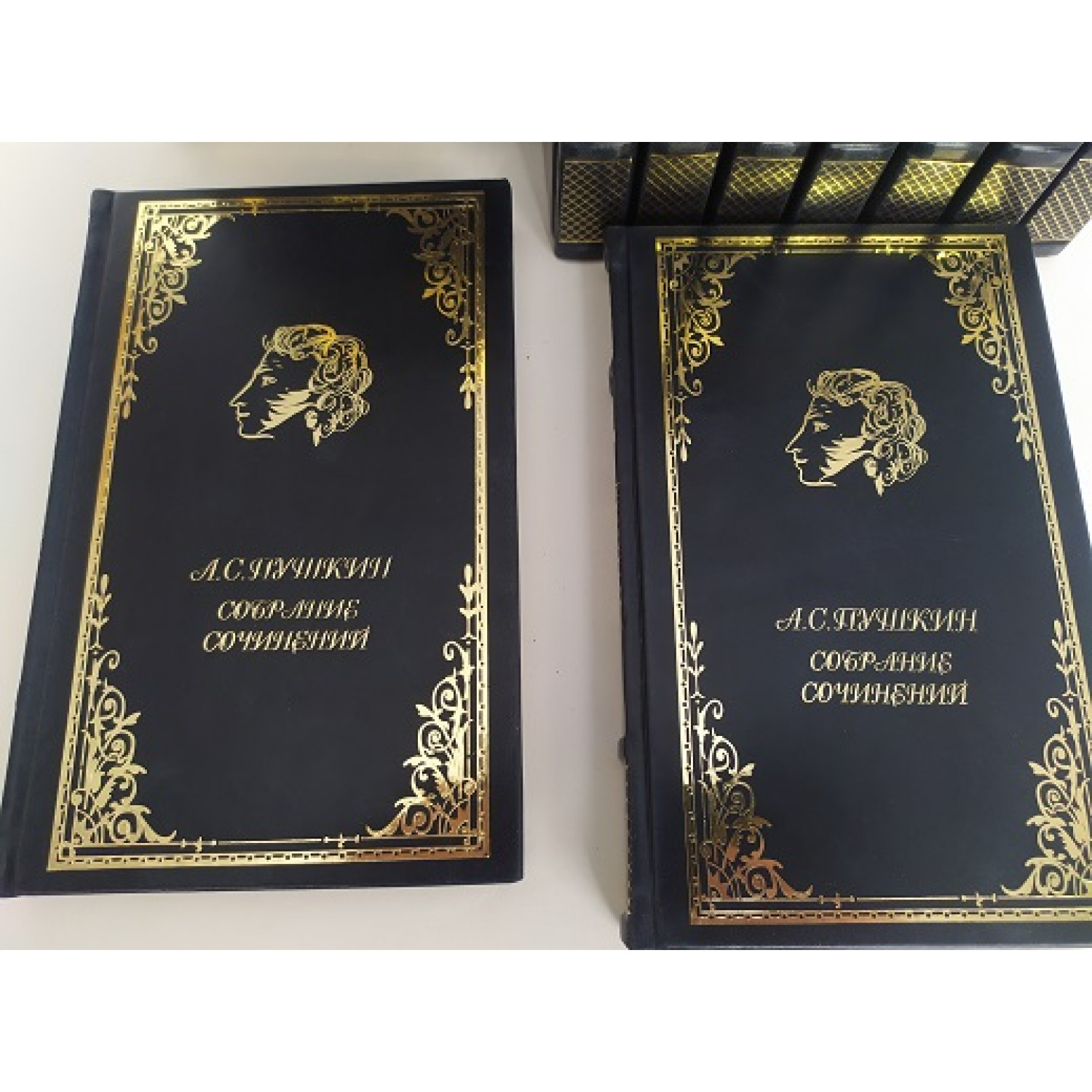 А. С. Пушкин. Полное собрание сочинений в 10 томах в кожаном переплете ручной работы