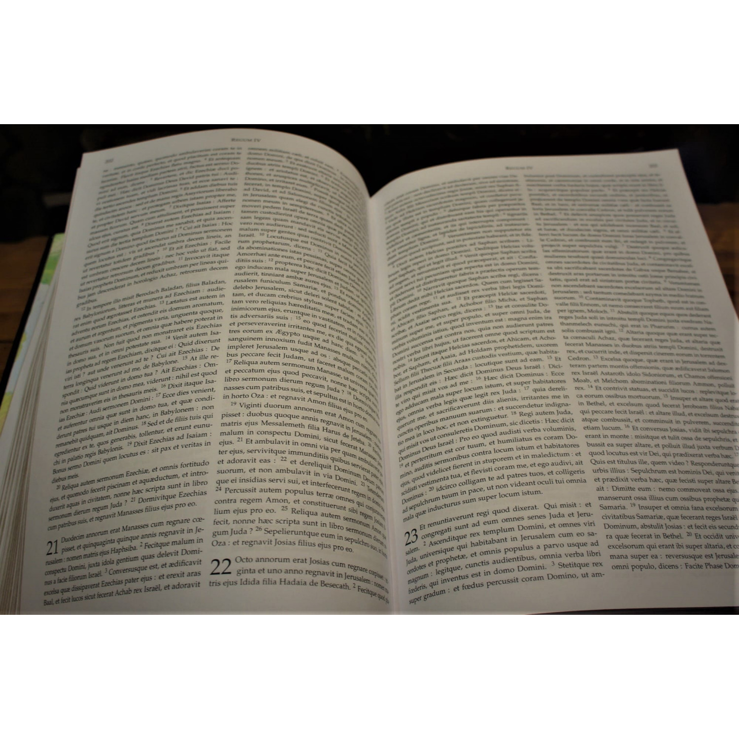 Библия на латыни в кожаном переплете ручной работы