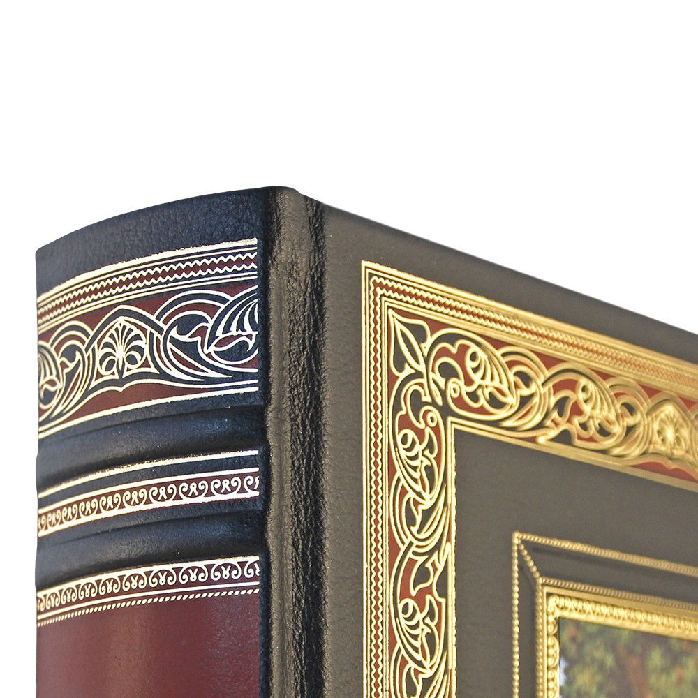 Подземелья Ватикана. Андре Жид (подарочная книга)