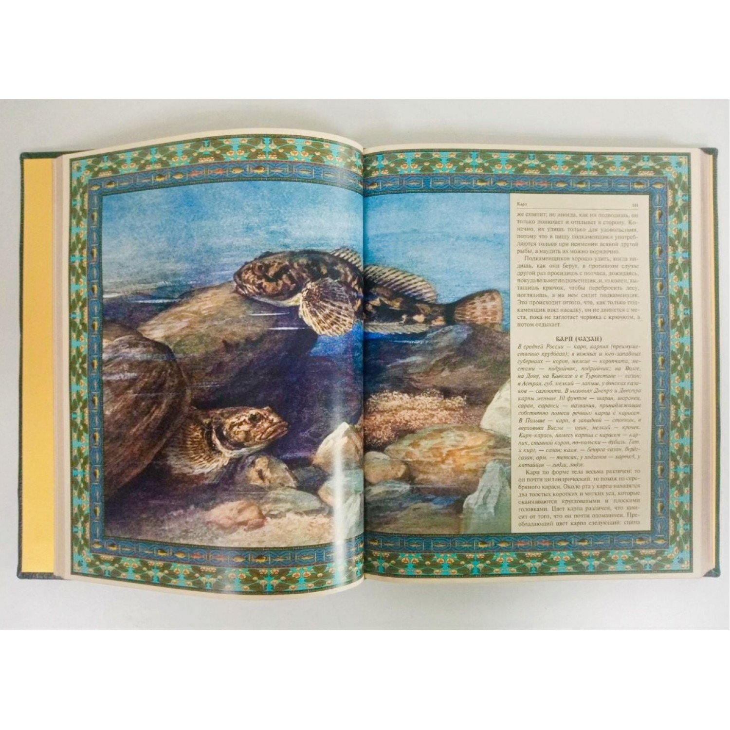 Русская рыбалка. Подарочная книга в коже