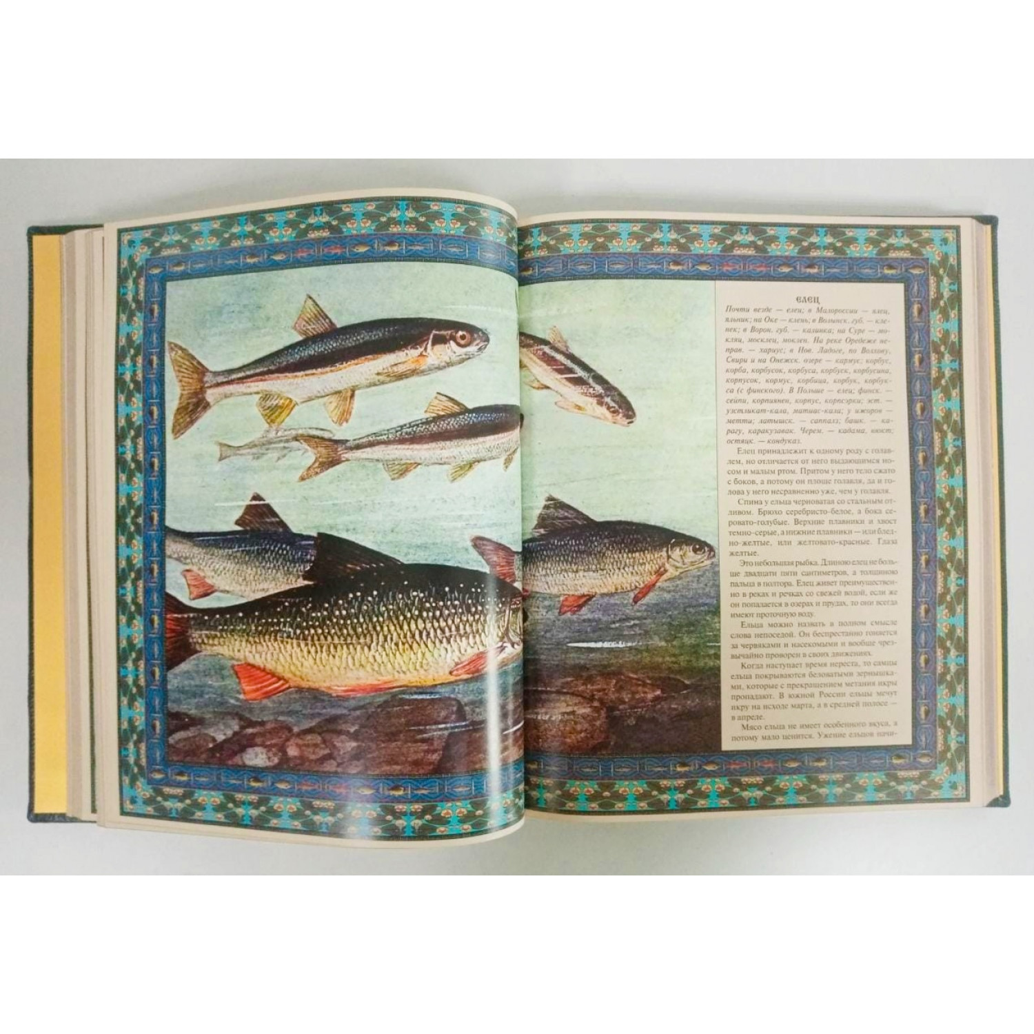 Русская рыбалка. Подарочная книга в коже