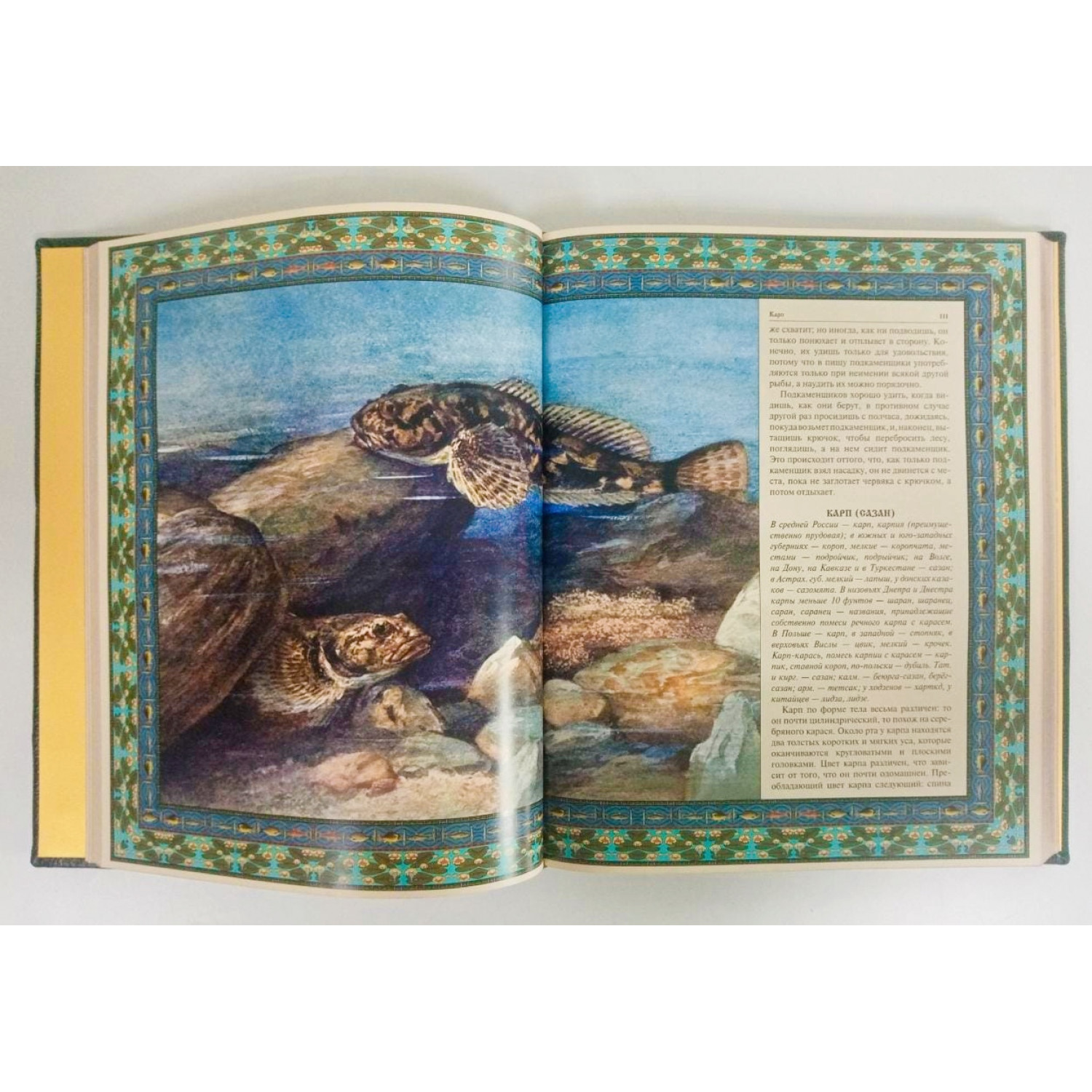 Русская рыбалка. Подарочная книга в коже