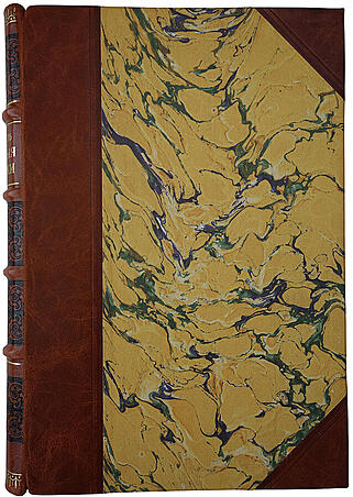 Геккель Э. Мировые загадки. Общедоступные этюды по монистической философии (Антикварная книга 1907г.)