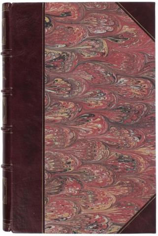 Мезиер А.В. Русская словесность с XI по XIX столетия включительно (Антикварная книга 1899г.)