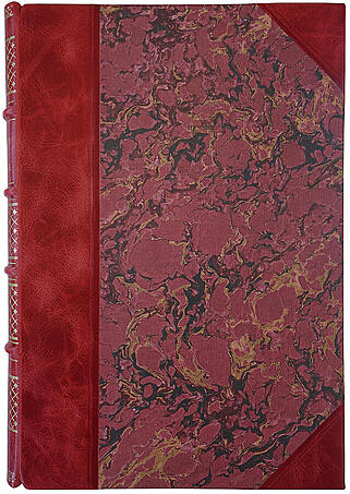 Мечников И. И. Этюды оптимизма (Антикварная книга 1913г.)