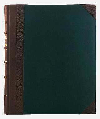 Гёте И.В. Лис Патрикеич: Поэма в двенадцати песнях Иоганна Вольфганга Гете (Антикварная книга 1902г.)