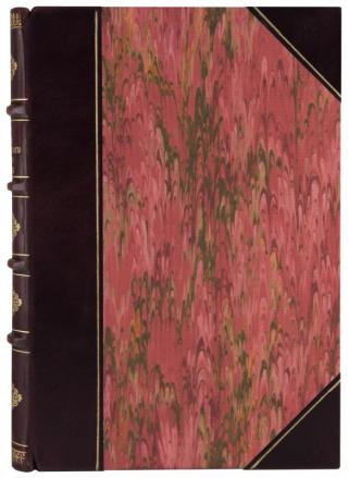 Тун А. История революционного движения в России (Антикварная книга 1906г.)